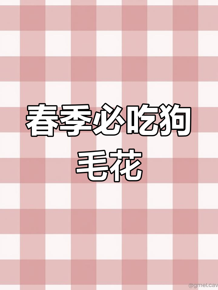 春天里的美味野菜,山东人都爱吃这个!