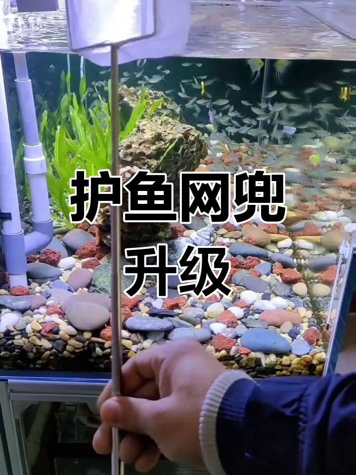 伸缩网兜,方形设计轻松捕鱼,保护鱼儿不受伤