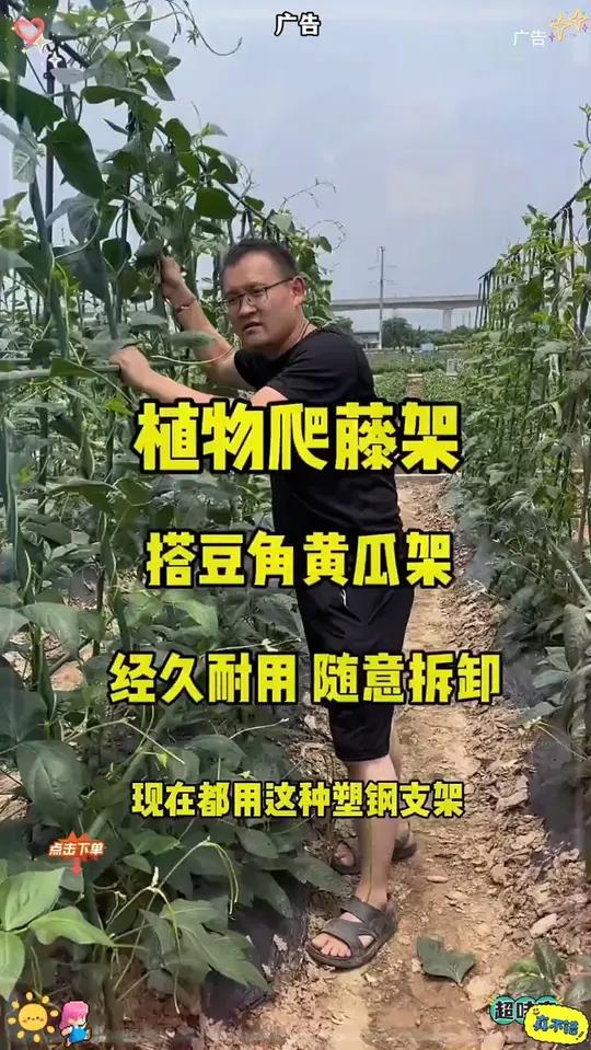 黄瓜豆角爬藤架庭院丝瓜架菜架子种菜瓜果支撑花架户外种植番茄架黄瓜豆角爬藤架爬藤架H