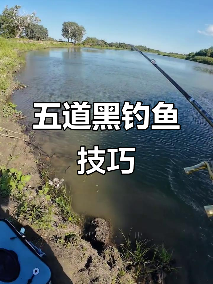 五道黑钓法全解析:如何用铅头钩捕捉凶猛河鲈