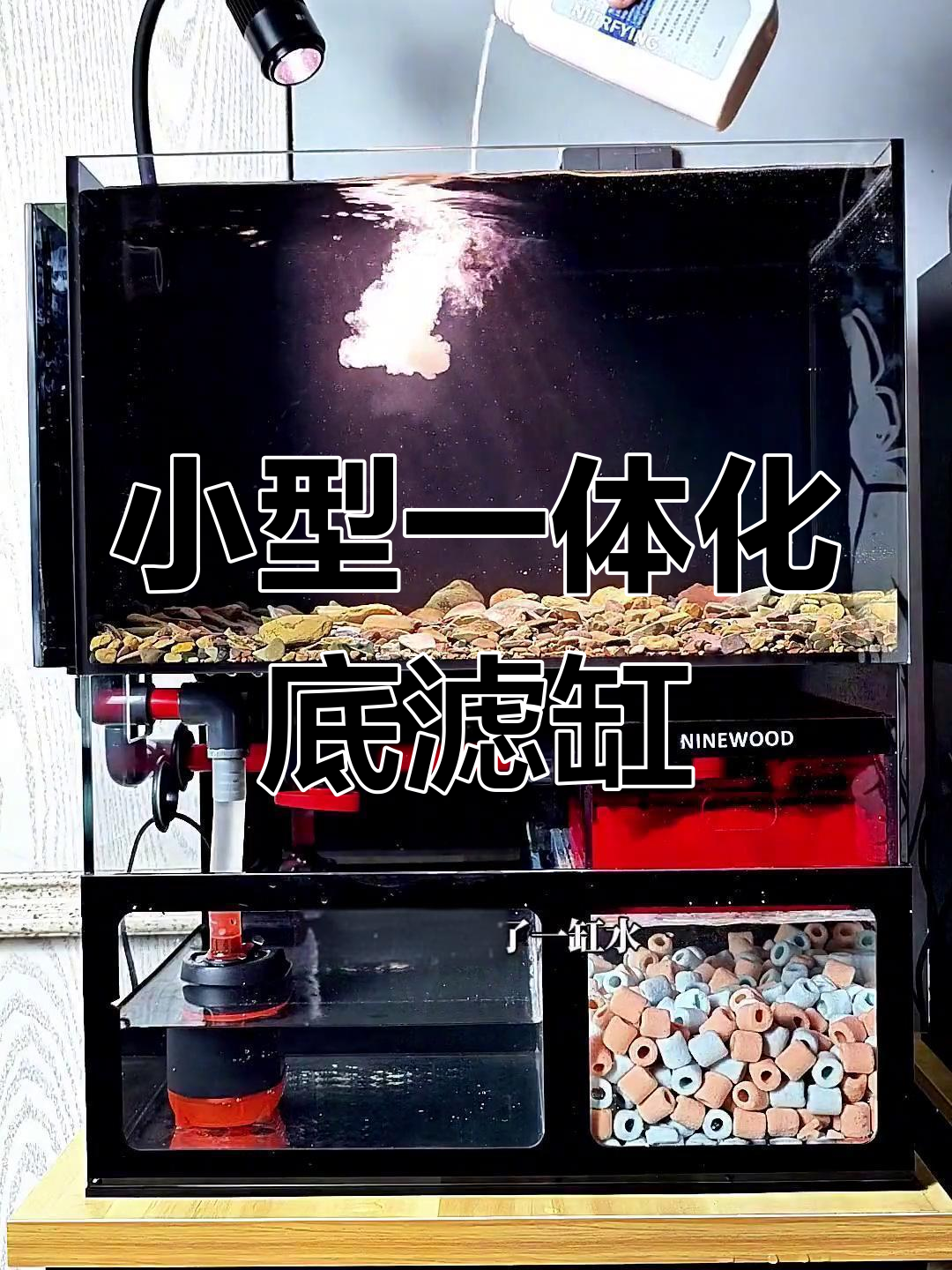 萤火虫背包溢流款原生缸效果展示