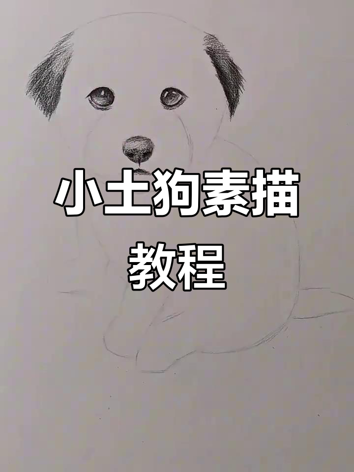 素描小土狗,轻松画出可爱卡通形象