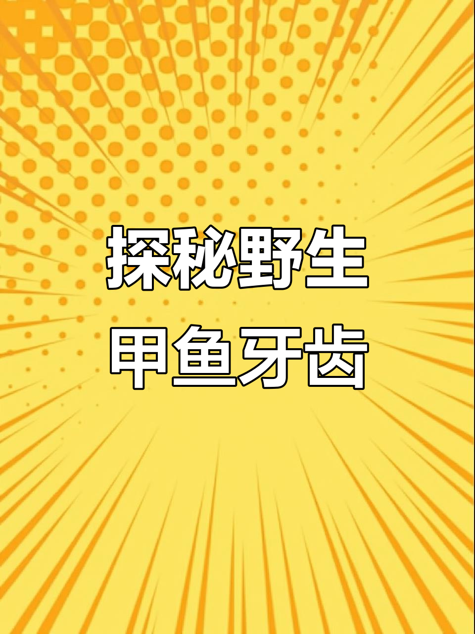 野生甲鱼的牙齿与上颚特征,揭秘其捕食技巧
