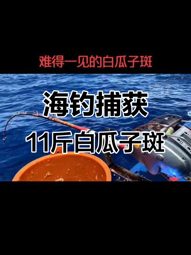 11斤白瓜子斑海钓大丰收，挑战极限捕捞