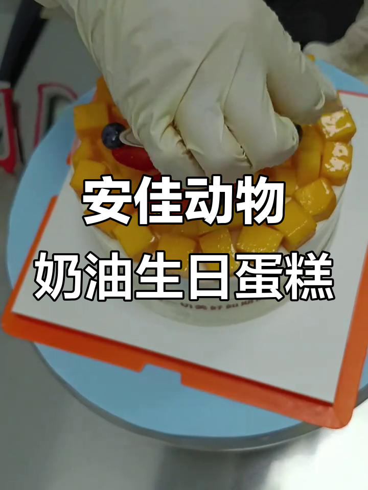 100%纯安佳淡奶油蛋糕,静心享受独处时光