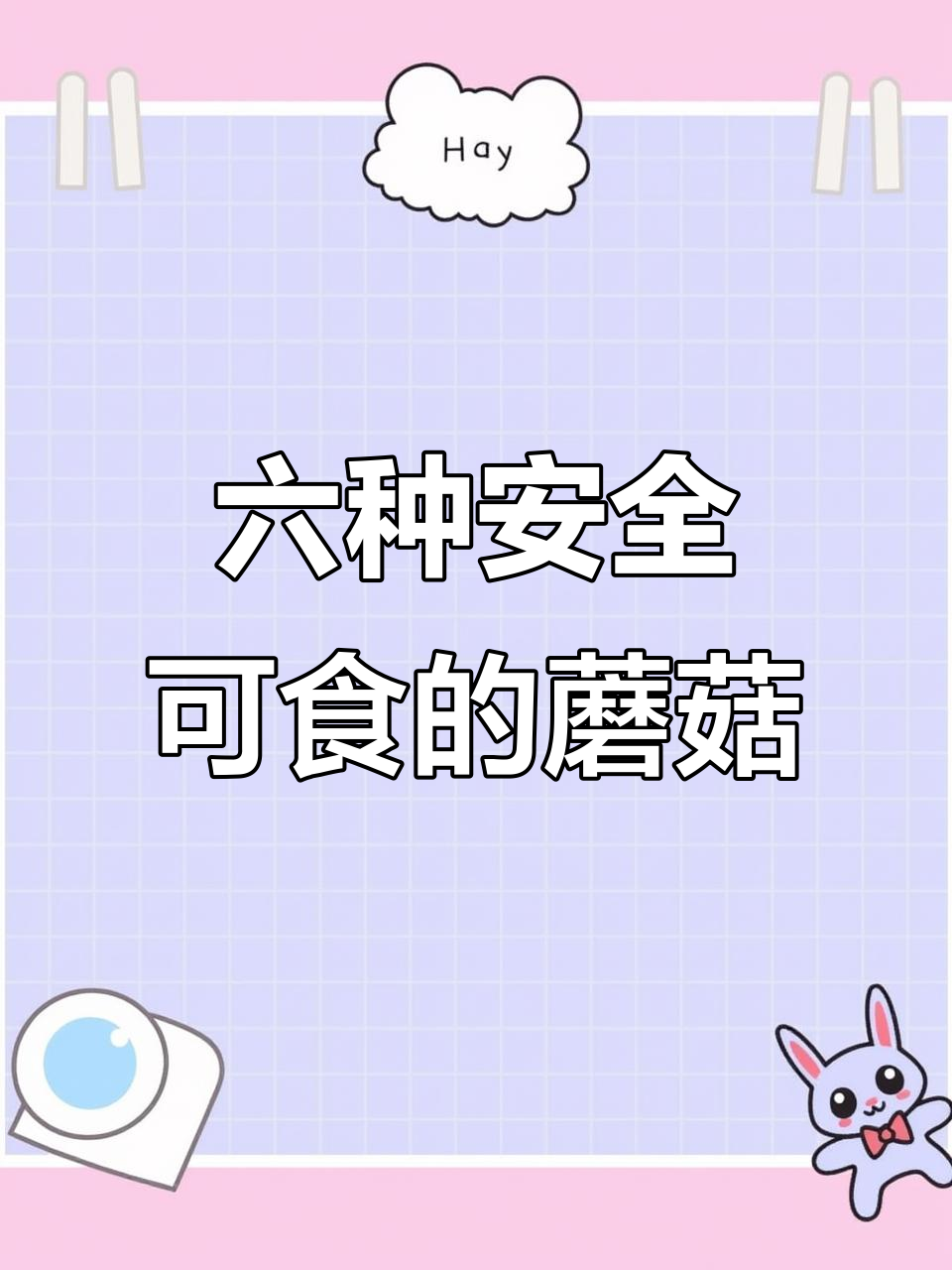 6种常见蘑菇,了解它们的食用与毒性