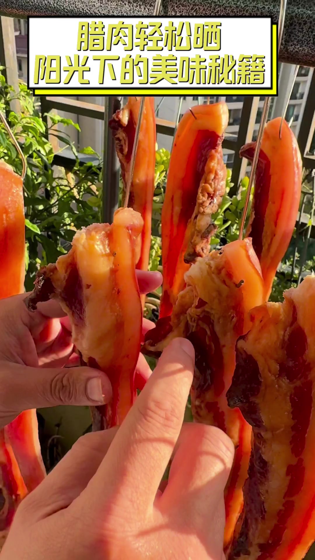 腊肉轻松晒,阳光下的美味秘籍
