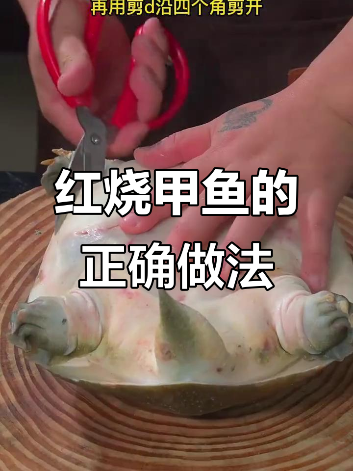 湖南年夜饭必备甲鱼做法,教你轻松做出美味红烧甲鱼