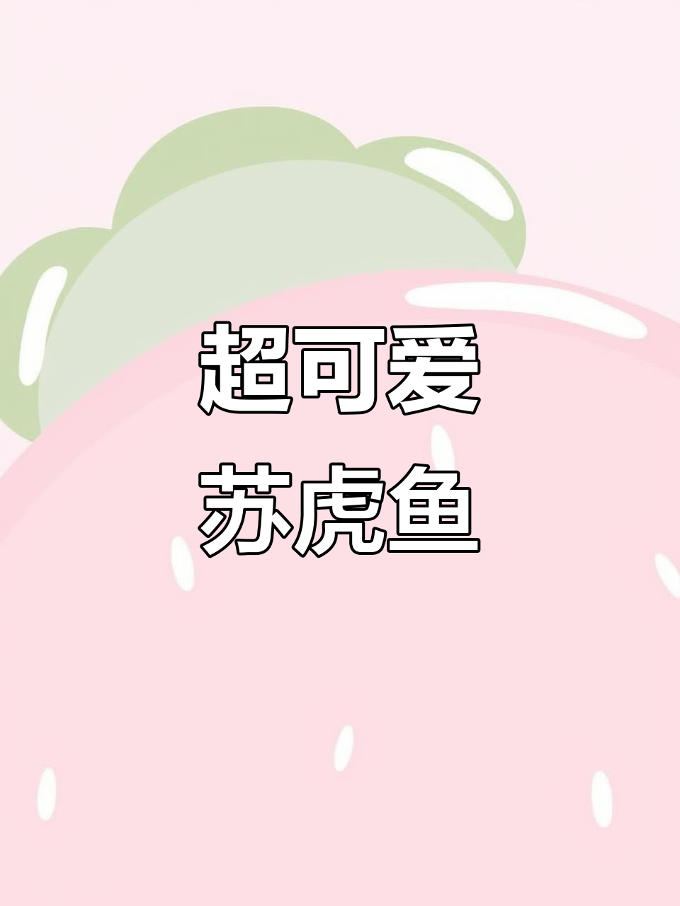 苏虎鱼活泼游动,热带观赏新体验