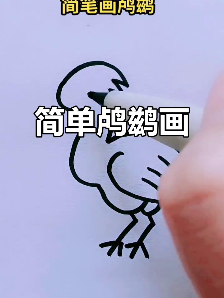 可爱鸬鹚简笔画,节日快乐!