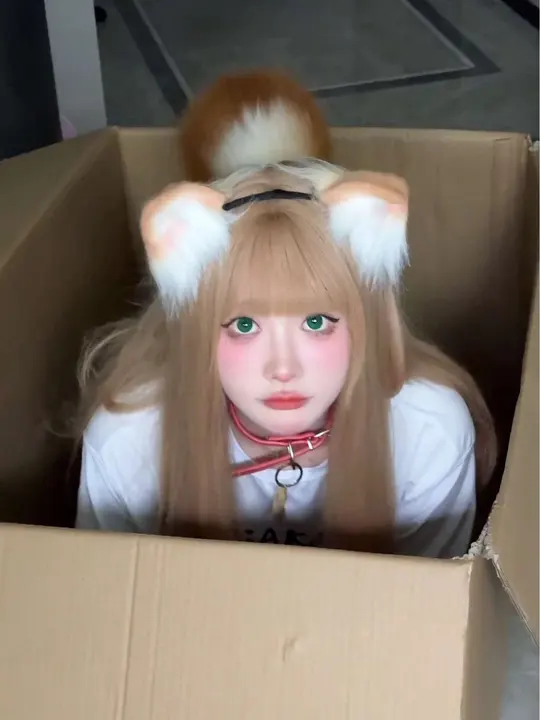 可爱猫咪拟人化,快来理理这只萌小猫!