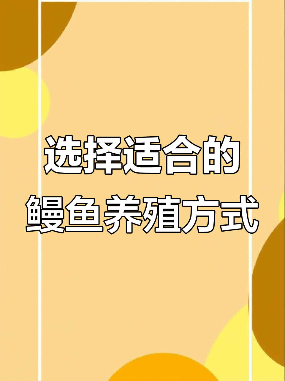 鳗鱼养殖四种模式,哪种最适合你?
