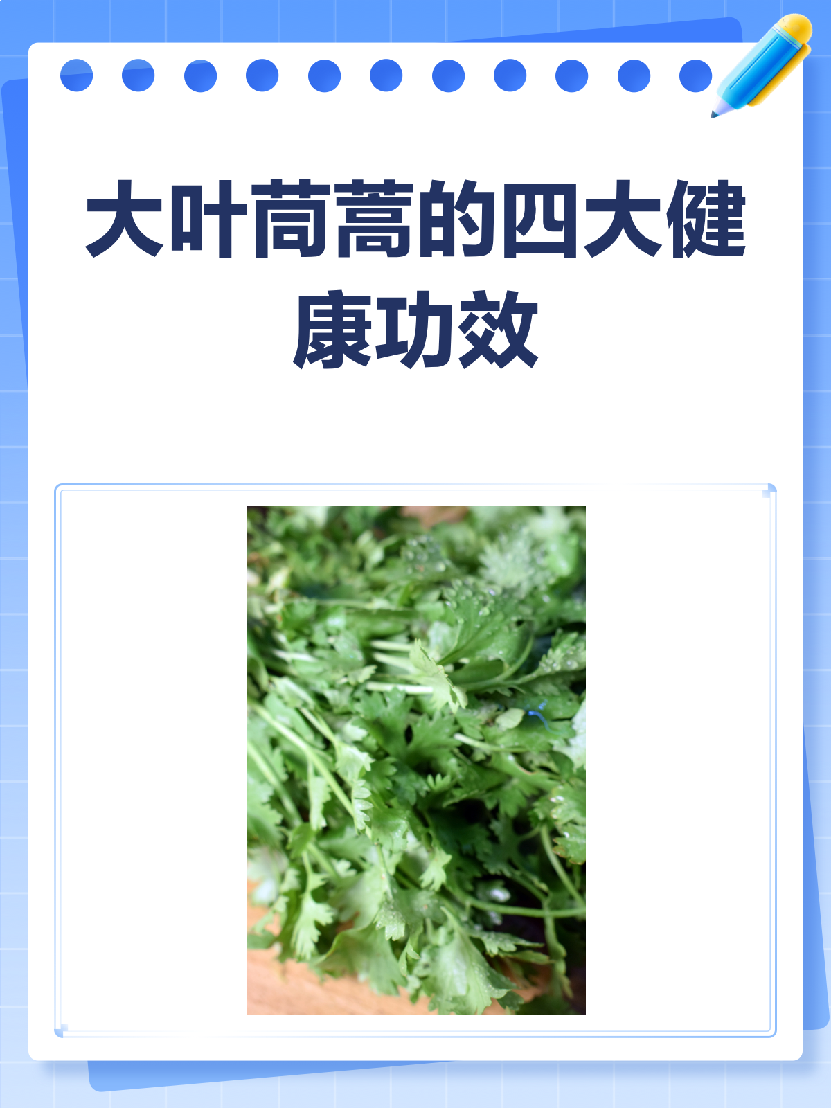 大叶茼蒿,不只是蔬菜那么简单!