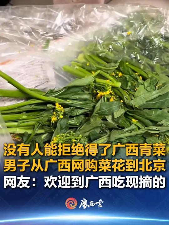 没有人能拒绝得了广西青菜,男子从广西网购菜花到北京。网友:欢迎到广西吃现摘的!(来源:桂林