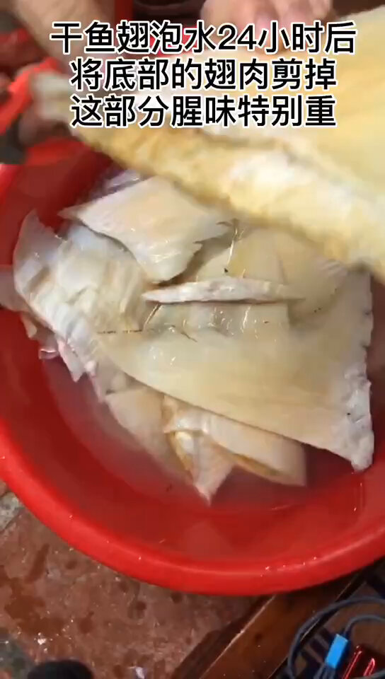 鱼翅泡发过程