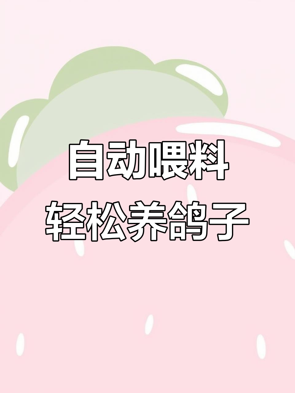 肉鸽养殖饲料与饮水技巧,自动喂食更省心