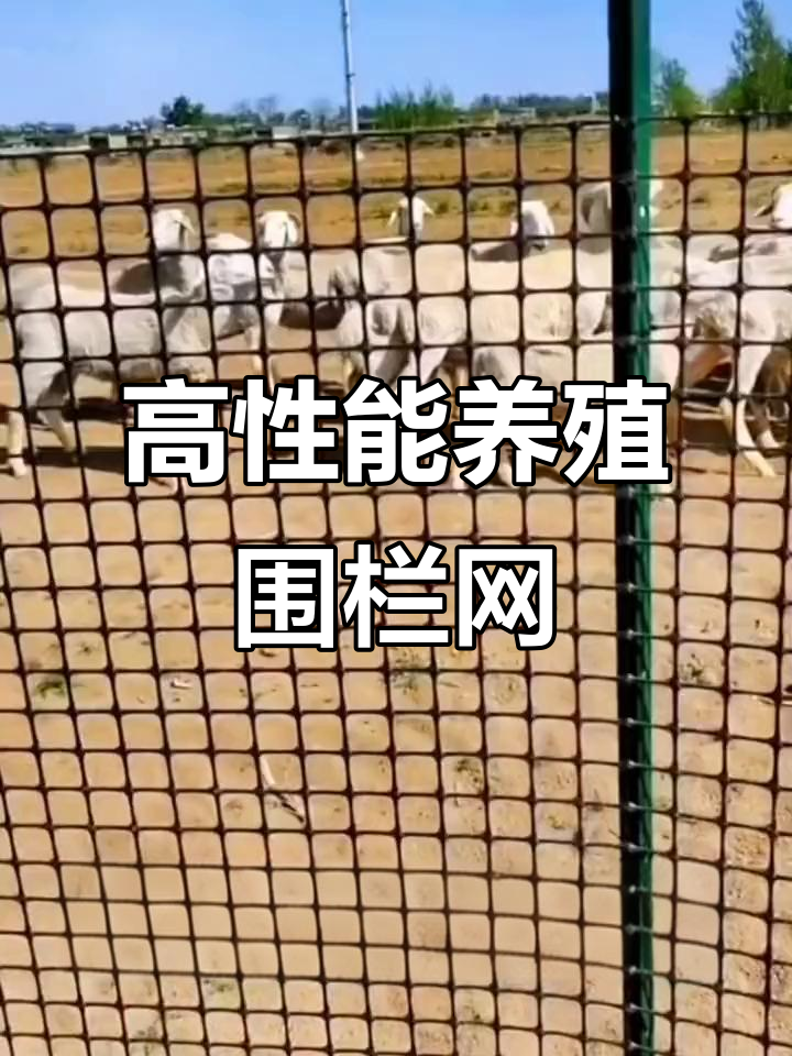 养殖场专用围栏网,鸡鸭鹅猪羊都能圈地保护