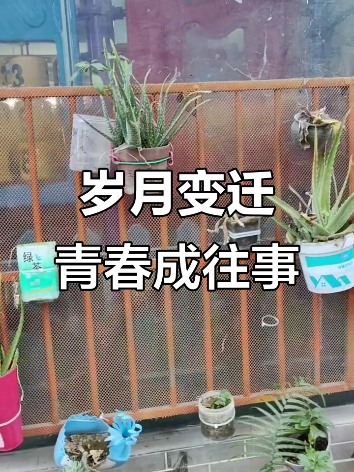2025年,曾经的少年已变,青春不再,旧怨重提