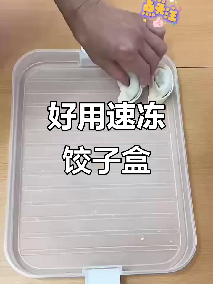 速冻饺子盒,保鲜又方便!