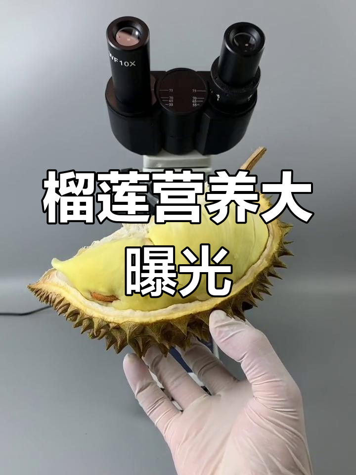 榴莲的营养成分揭秘,显微镜下的秘密