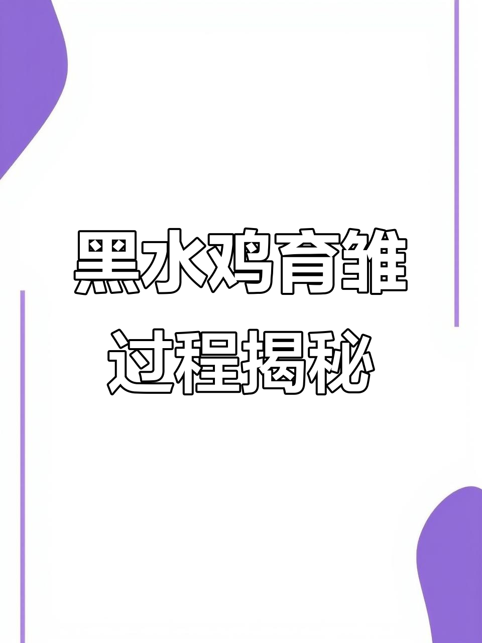 黑水鸡成长全纪录:从雏鸟到独立生活的全过程