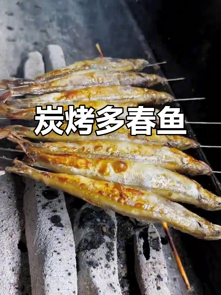 炭烤多春鱼,外焦里嫩的完美口感