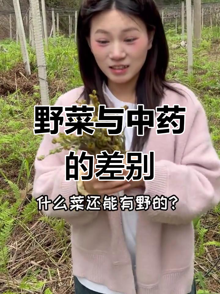 农村野菜大揭秘:能吃的是美味,不能吃的是药材