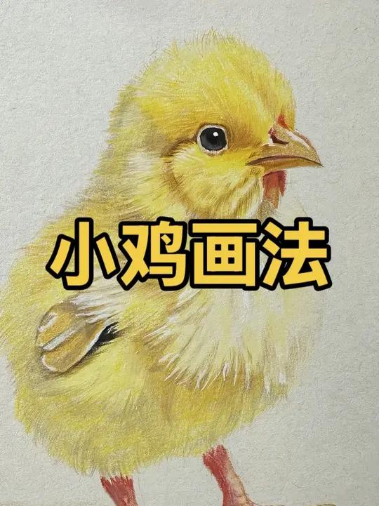 小鸡画法，是不是很简单