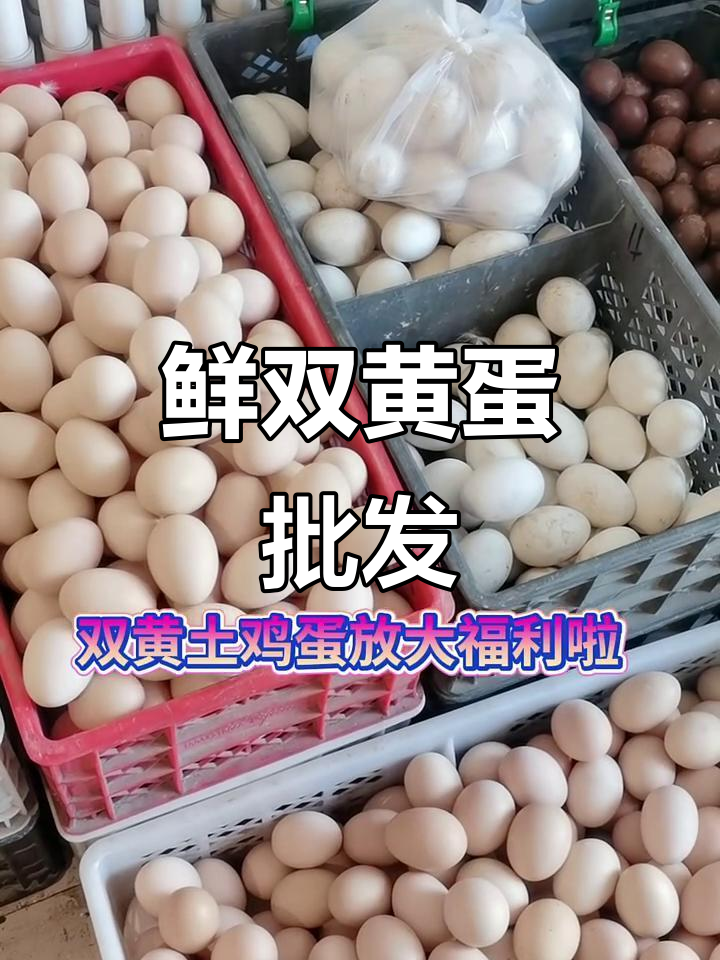 双黄土鸡蛋,六点一毛九超值批发!