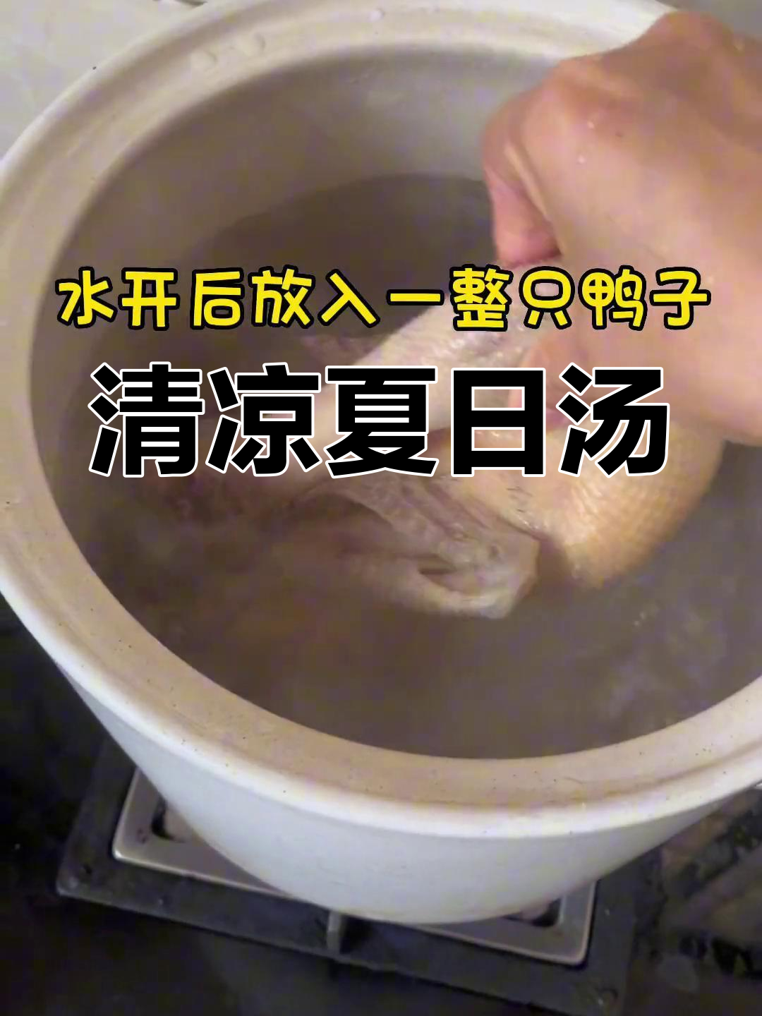 夏日必备,冬瓜薏米汤,清爽又美味,连孩子都爱不释口