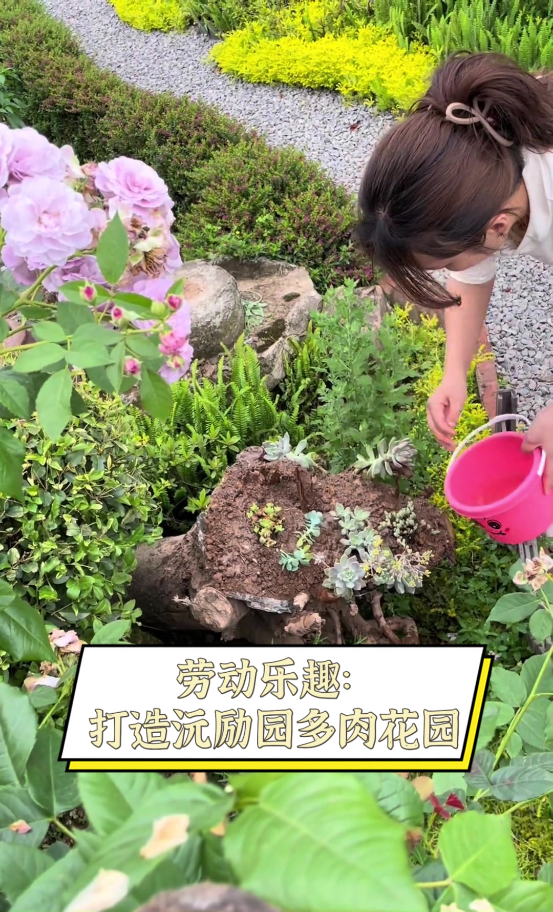 劳动乐趣:打造沅励园多肉花园