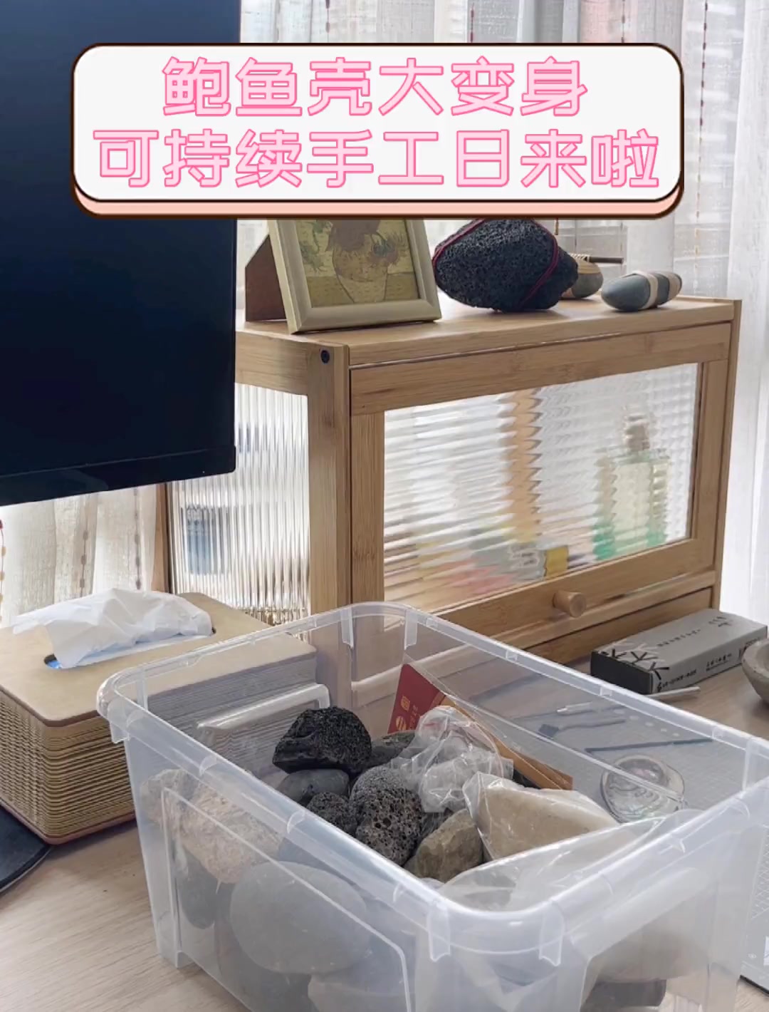 鲍鱼壳大变身,可持续手工日来啦