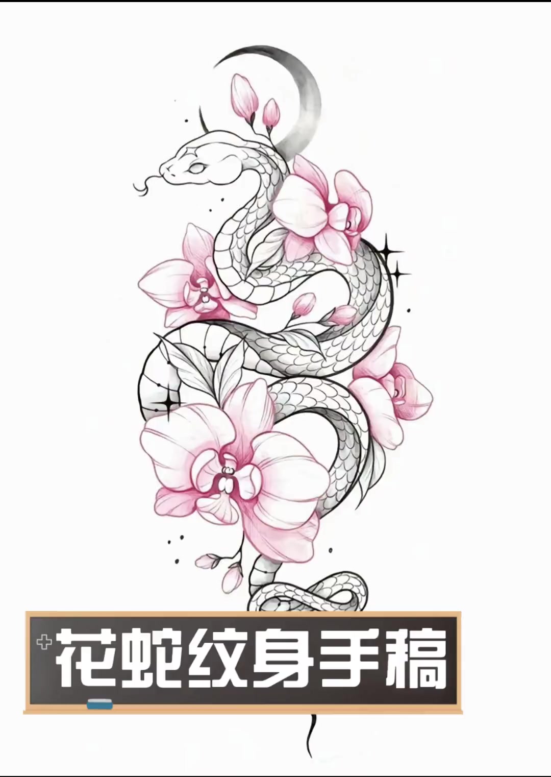 花蛇纹身手稿