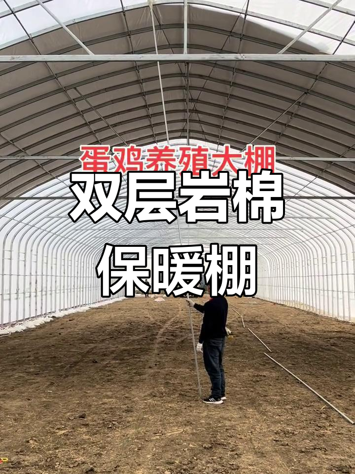安徽淮南蛋鸡养殖大棚,双层岩棉保温材料正在安装