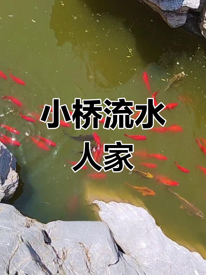 江南水乡的徽派庭院