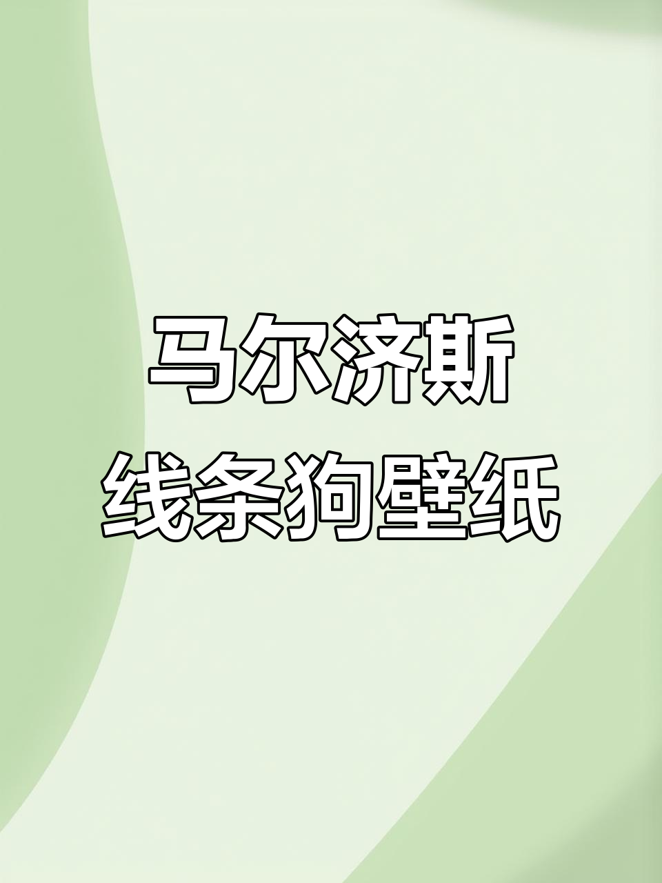 线条小狗壁纸推荐,马尔济斯风格超可爱