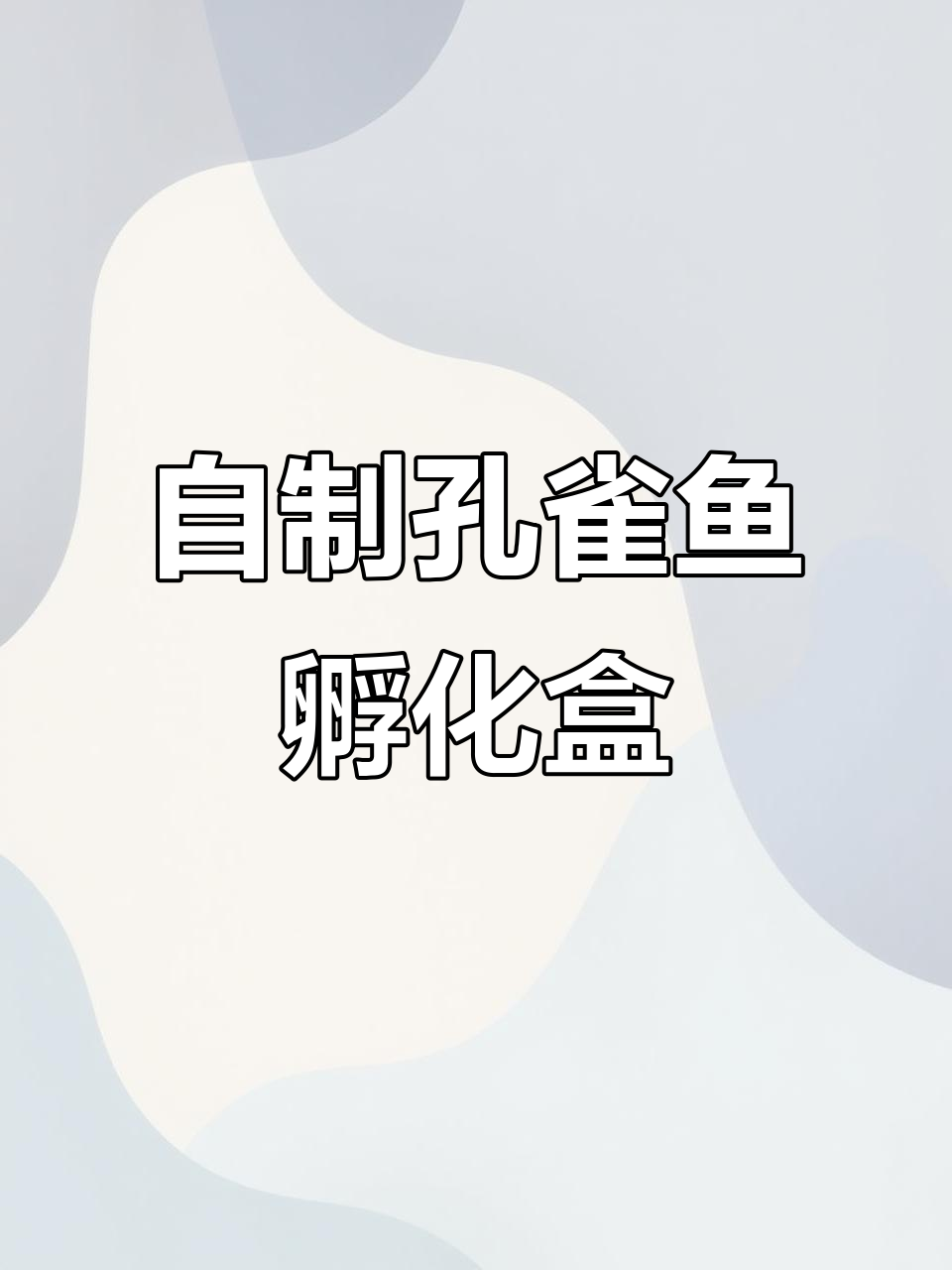 孔雀鱼繁殖盒DIY教程，简单又实用
