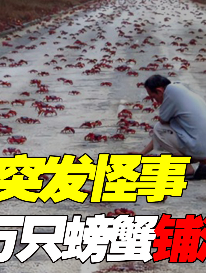 辽宁山村突发怪事，上万只螃蟹铺满整条大街，连捡三天都捡不完！