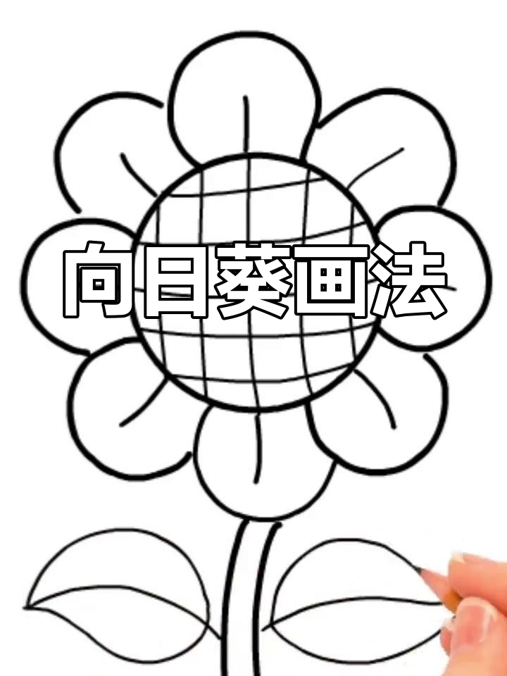 简单向日葵简笔画教程