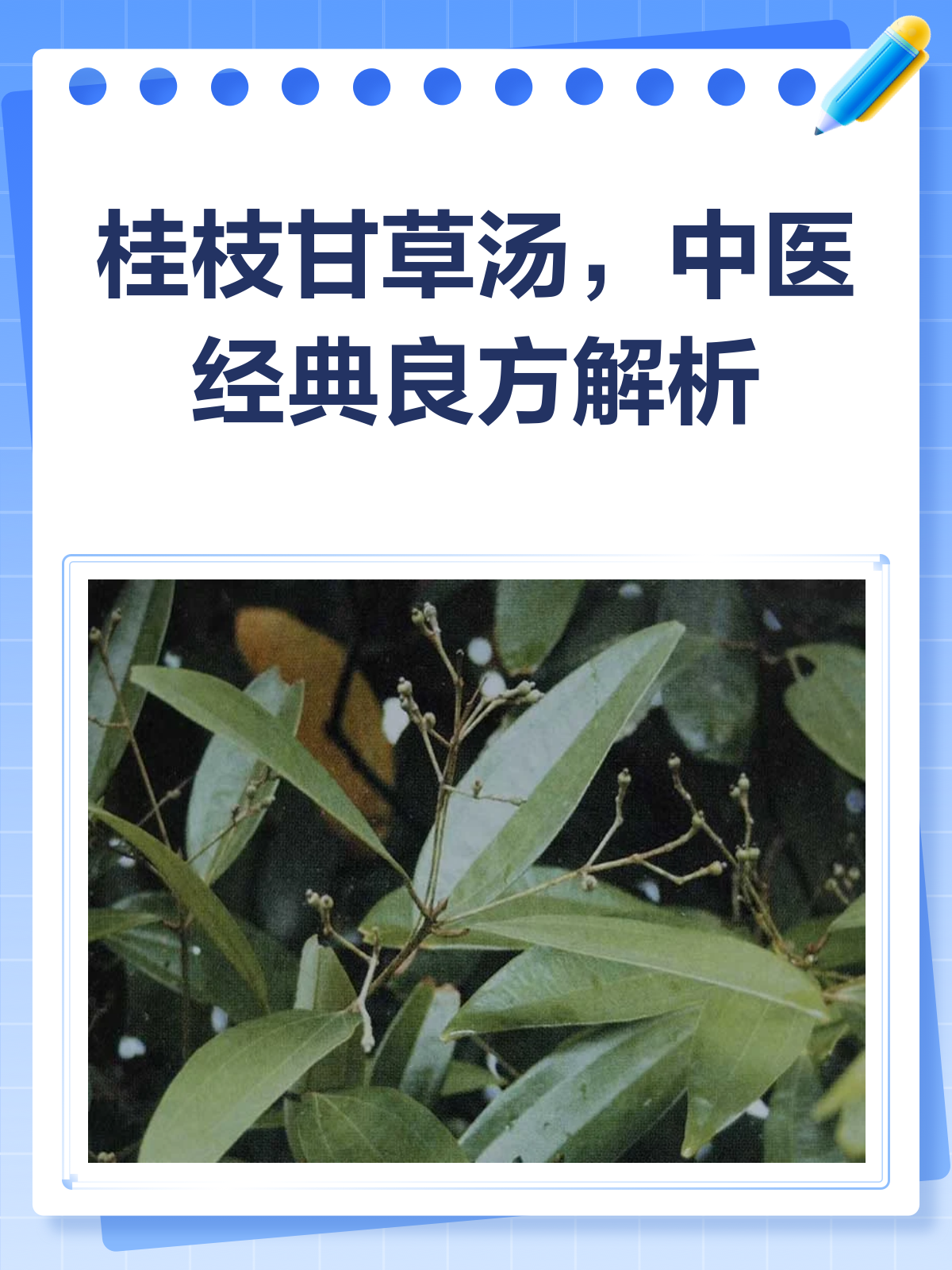 桂枝甘草汤,一剂温心阳的良方