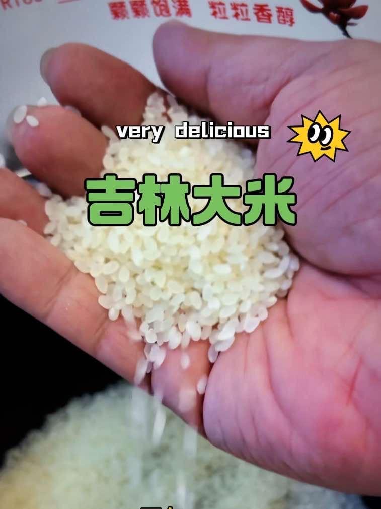 吉林小町大米 皮厨大叔美食