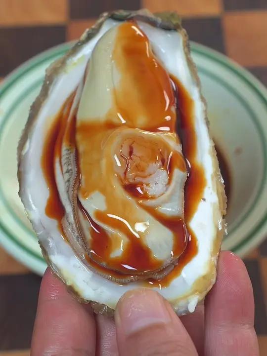 清蒸生蚝的做法 不开火快手料理