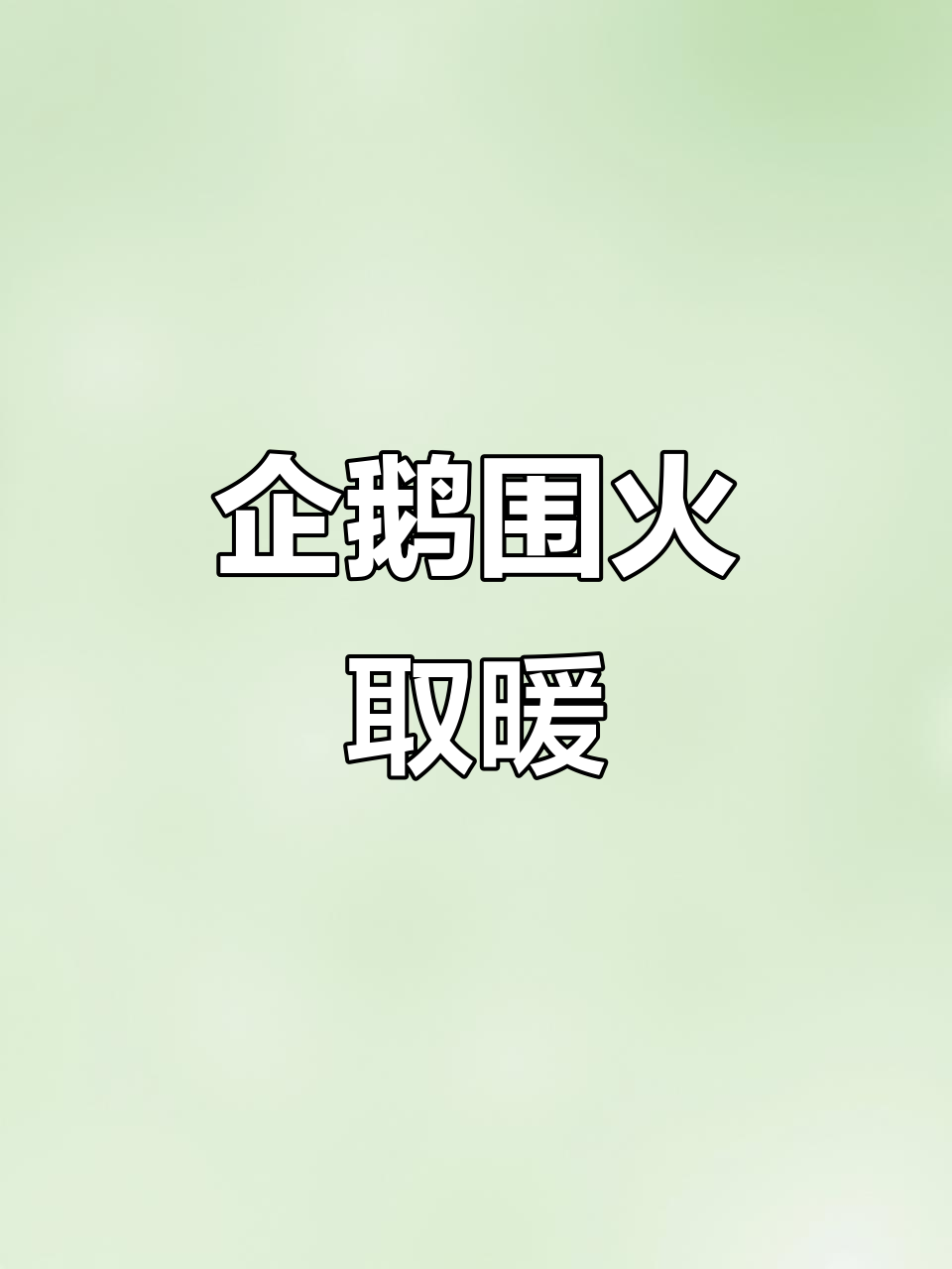 热带企鹅抱团取暖,火焰旁萌态十足