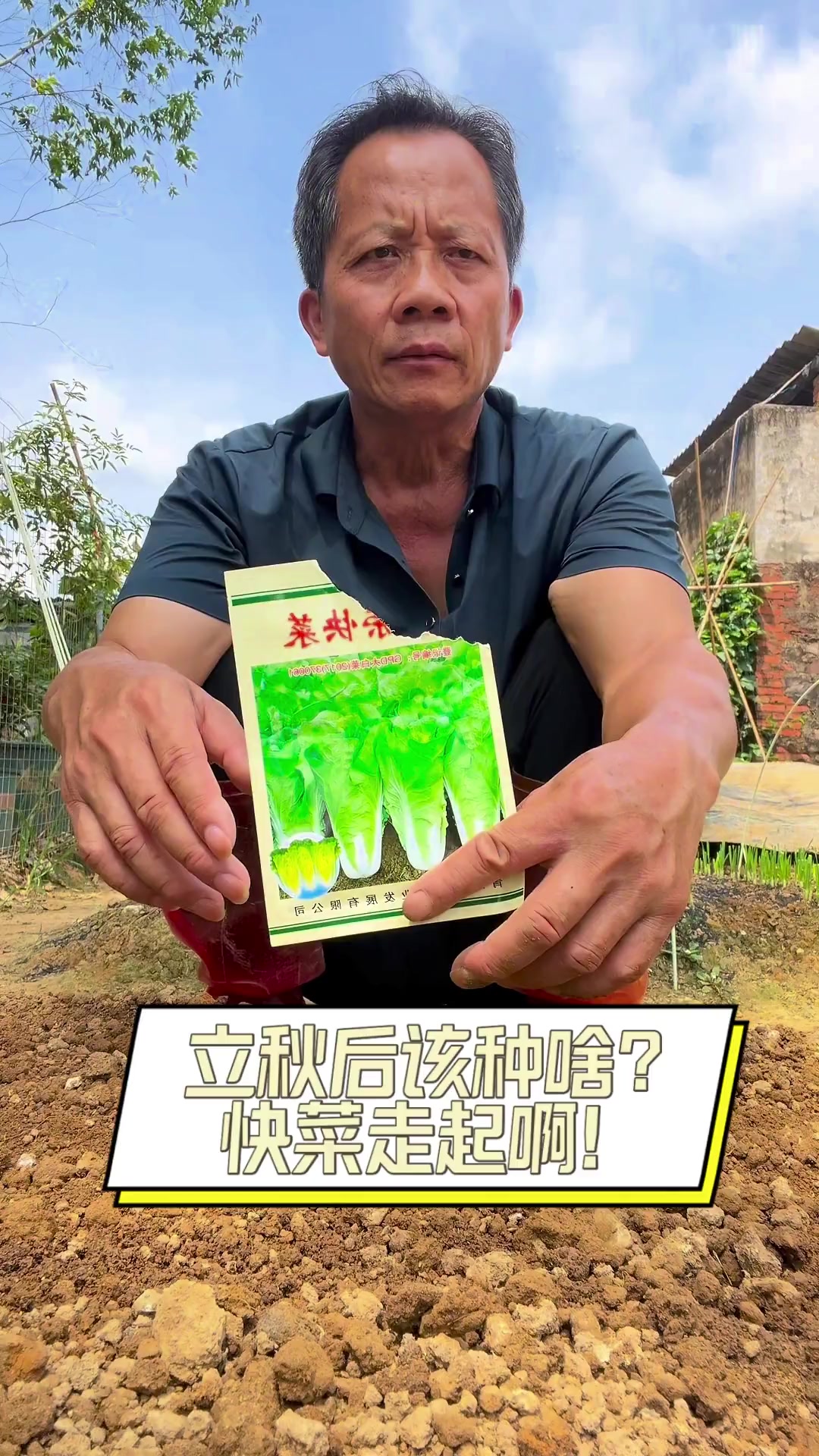 立秋后该种啥?快菜走起啊!
