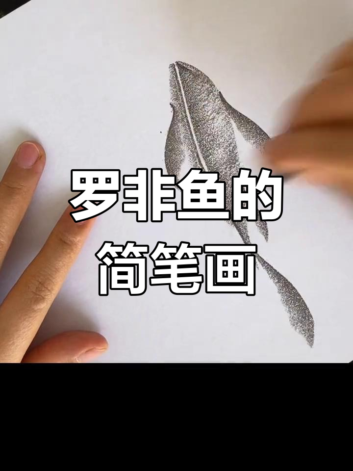 轻松画出罗非鱼,简单几步搞定