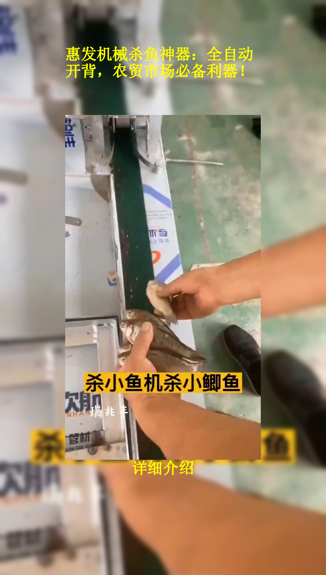 惠发机械杀鱼神器:全自动开背,农贸市场必备利器!