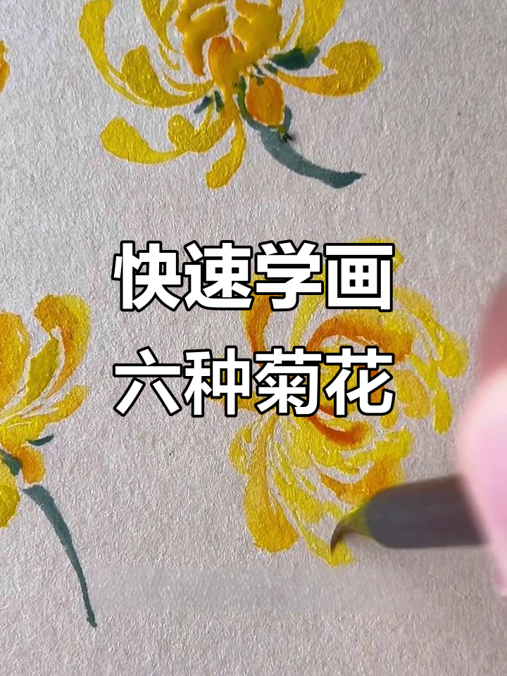 一分钟学会六种菊花画法,轻松掌握没骨技巧