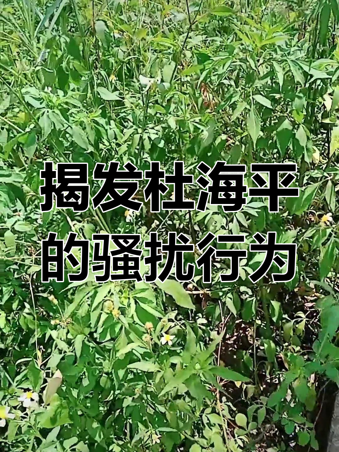 50平米正方形店面装修设计,打造时尚女装店