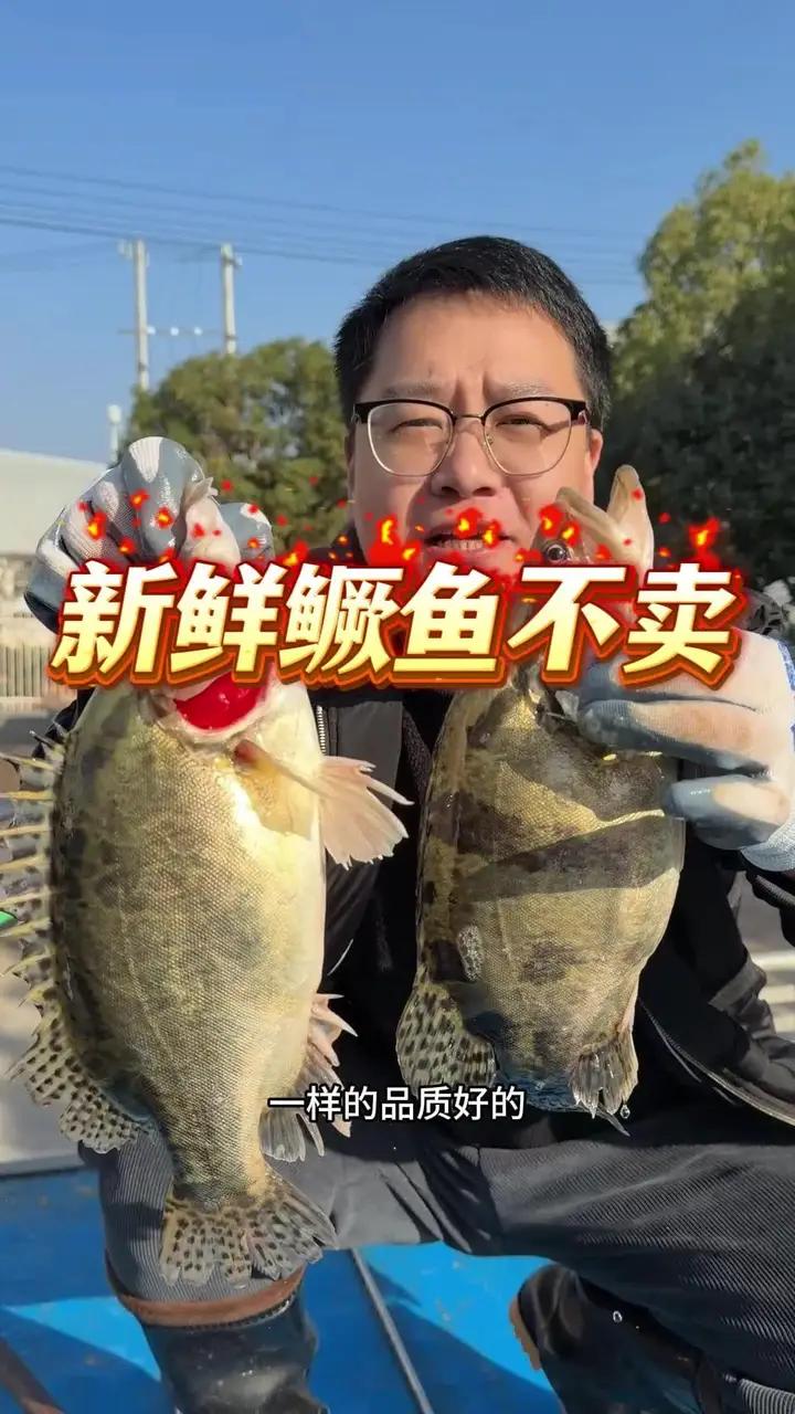 新鲜鳜鱼不卖，非要搞臭了再卖