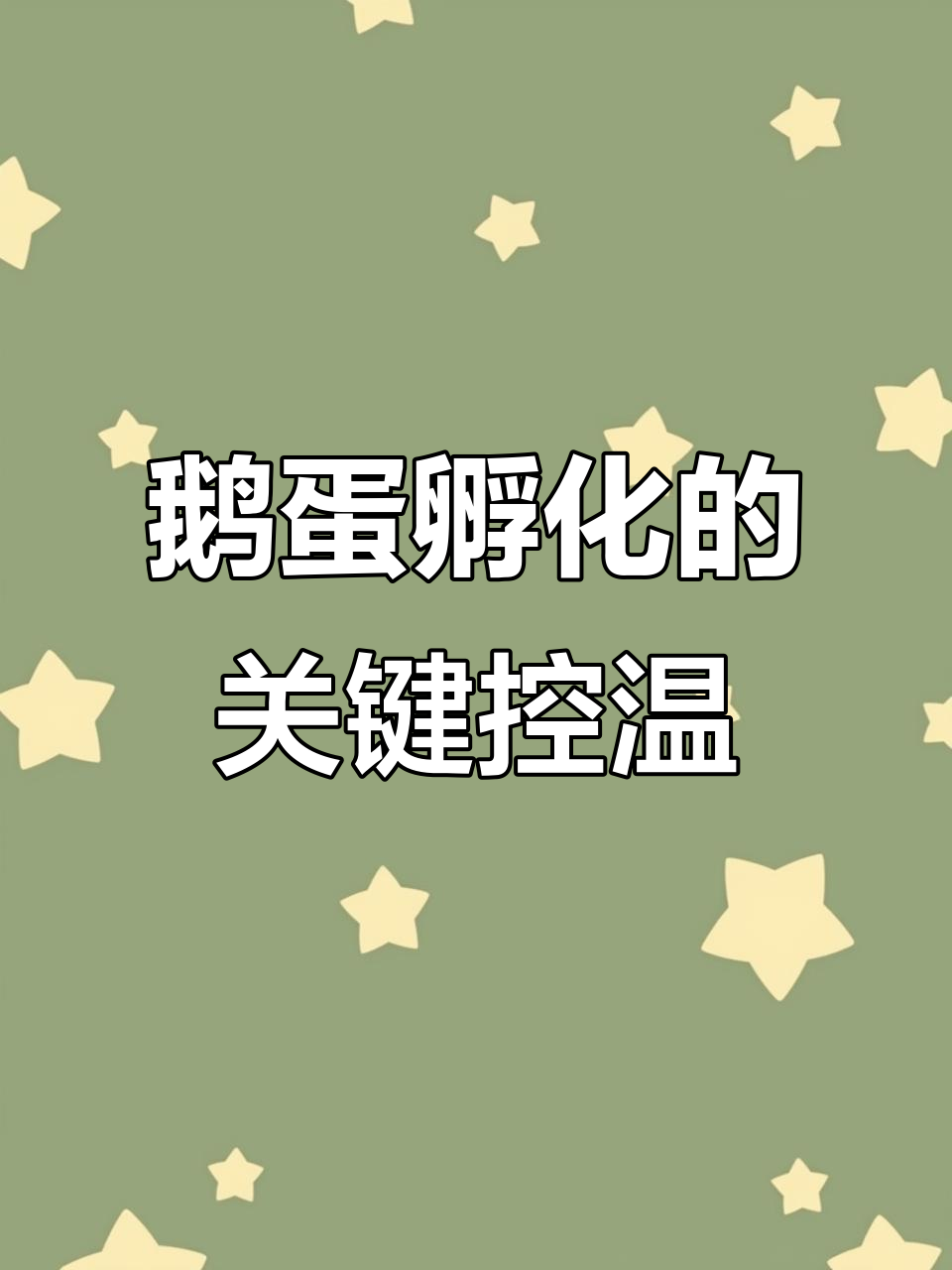 鹅蛋孵化28天,温度湿度控制技巧大揭秘